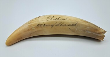 Artwork, other - Scrimshaw Whales Tooth, n.d
