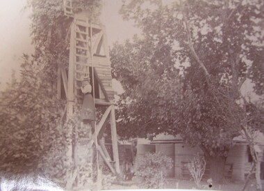 Photograph - Photograph - Daisy Bree up the Mill at Bewsall, Esther Winifred Hill, 1934