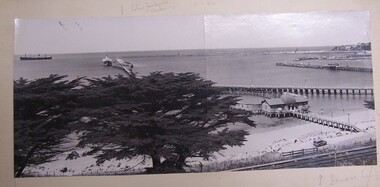 Postcard - Postcard - Portland Harbour, n.d