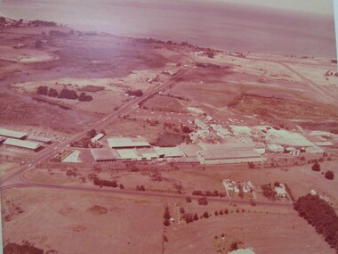 Photograph - Photograph - Thomas Borthwick & Sons Abattoir, Portland, n.d