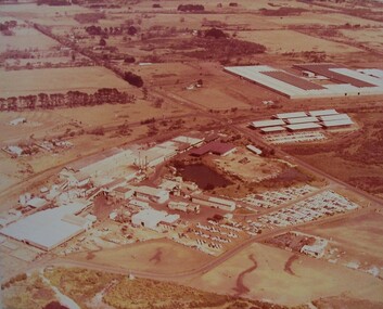Photograph - Photograph - Borthwicks, 1960s