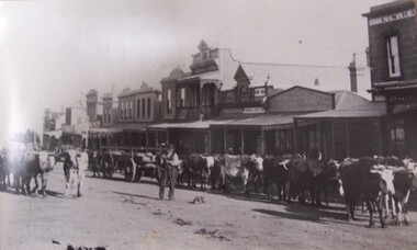 Photograph - Photograph - street scene, Portland, n.d