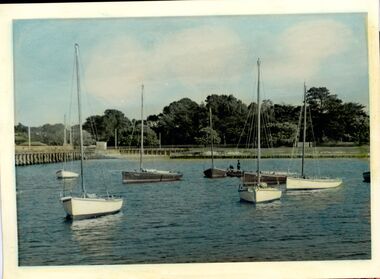 Photograph - Photograph - Couta Boat Fishing Fleet Portland, Couta Boats, n.d