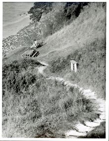 Photograph - Photograph - Cliff Pathway, Cliff Pathway, n.d