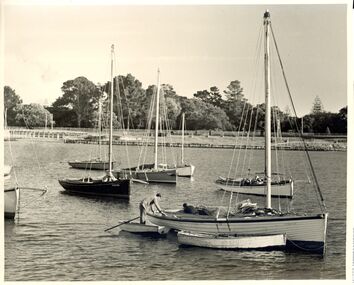 Photograph - Photograph - Couta Boat Fishing Fleet Portland, Couta Boats, n.d