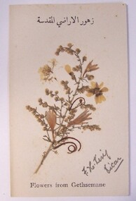Card - Card - Flowers for Gethsemane, n/d/