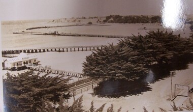 Postcard - Postcard - The Harbour, Portland, n.d