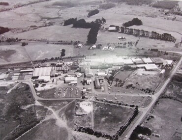 Photograph - Photograph - Aerial View of Thomas Borthwicks & Sons Meatworks, n.d