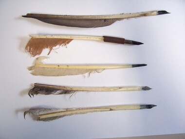 Functional object - Quill Pen, Collection of quill pens, c. 1900