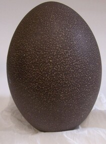 Animal specimen - Egg - Emu Egg, n.d