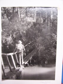 Photograph - Photograph - Great South West Walk, Grahame McDonald, 1983