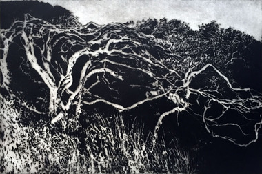 Print, Cape Bridgewater, 1993