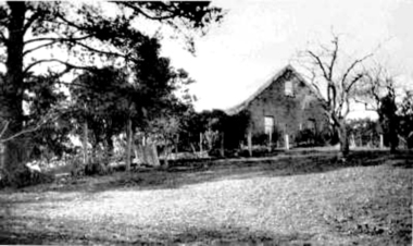 Article - Memoir, Life at Willis Vale, 2011