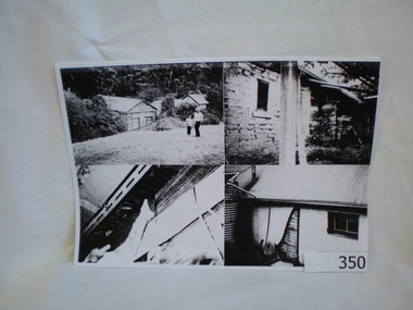 Photograph (copy), Happy Hollow, 13/4/1994