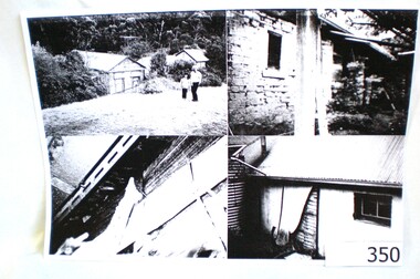 Photograph - Photograph (copy), Happy Hollow, 13/04/1994