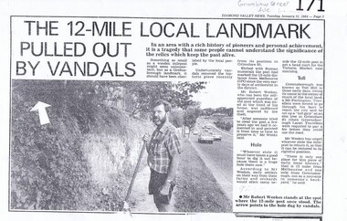 Newspaper clipping, Diamond Valley Leader, The 12-Mile Local Landmark Pulled Out By Vandals, 31/01/1984