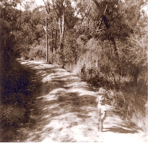 Photograph, Greenhills, 1950c