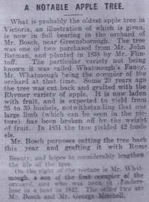 Article, A notable apple tree, 09/04/1910