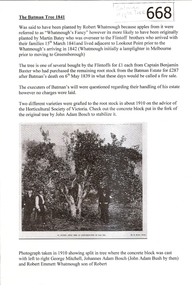 Article, The Batman Tree 1841, 15/03/1841c