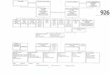 Genealogical document, Descendants of James King and Henrietta Nicholls, 1860o