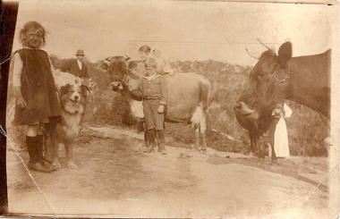 Photograph (copy), Unknown, Weaver and Partington families, 1914_