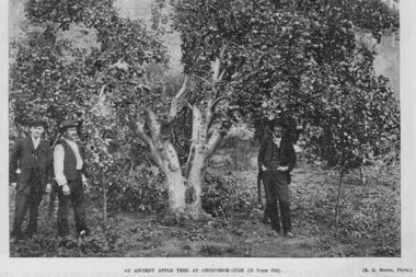 Photograph - Digital Image, John A. Bosch, 09/04/1910