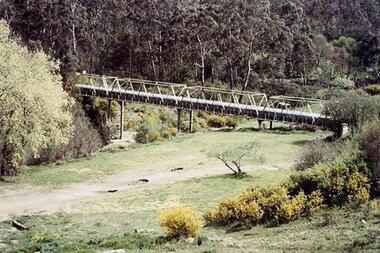 Photograph - Digital Image, Aqueduct Greensborough, 1960c