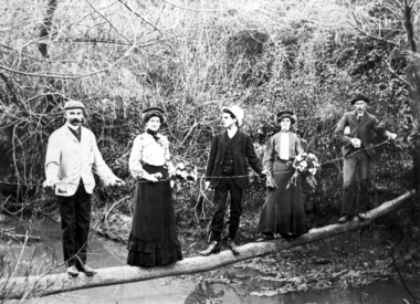 Photograph - Digital image, Log bridge to Willis Vale [1], 16/10/1903c