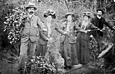 Photograph - Digital image, Log bridge to Willis Vale [2], 16/10/1903c