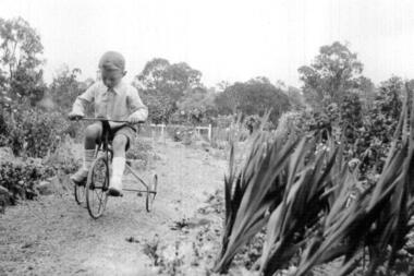 Photograph - Digital image, John Lierse, 1934, 1934_