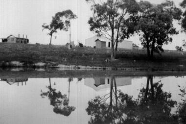 Photograph - Digital image, John McLaughlin's Plenty, 1933, 1933_
