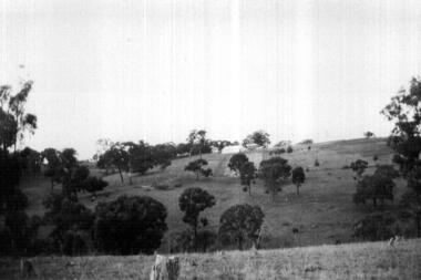 Photograph - Digital image, John McLaughlin's Paddock, Plenty, 1934, 1933_