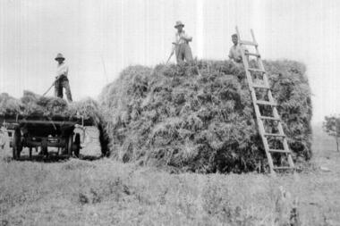 Photograph - Digital image, John McLaughlin's Haystack on his Eltham Farm, 1933, 1933_