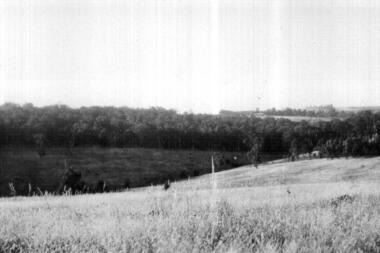Photograph - Digital image, Eltham from John McLaughlin's Farm, 1935, 1935_