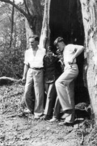 Photograph - Digital image, Group of Four in a Tree Hollow, 1935, 1935_