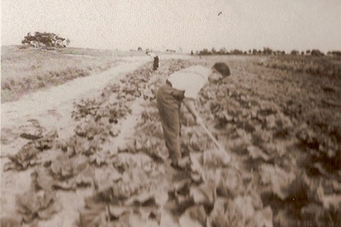 Photograph - Digital image, Loyola Seminary 9 [Seminarians Working in Garden] 1934, 1934_