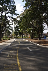 Photograph - Digital image, Jasmin Burge, Loyola drive 2012, 19/06/2012