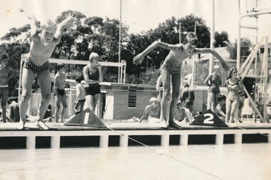 Photograph - Digital image, Swimming Sports Greensborough Pool 1960s, 1960s