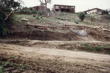Photograph - Digital image, Pioneer Children's Cemetery [Cairn], 1985_
