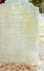 Photograph - Digital Image, Grave of Elizabeth Aldridge Greensborough Cemetery, 30/01/1864
