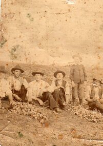 Photograph - Digital image, Onion Farm Greensborough, 1920c