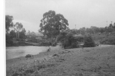 Photograph - Digital Image, Plenty River in flood 1972, view at the Rand Street Crossing, 1972_
