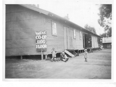 Photograph - Digital Image, Children playing at Greensborough and District Poultry Co-op, 1950c