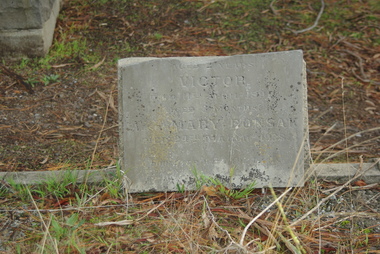 Photograph - Digital Image, Grave of Victor and Mary Bonsak, Greensborough Cemetery, 11/04/1891