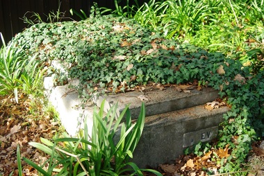 Photograph - Digital Image, Grave of Alice Glew and William Glew, Greensborough Cemetery, 12/07/1933