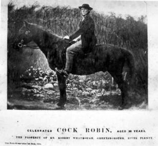Photograph - Digital image, Whatmough's "Cock Robin", 09/01/1850