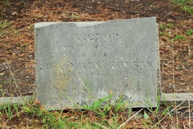 Photograph - Digital Image, Grave of Victor and Mary Bonsak, Greensborough Cemetery, 11/04/1891