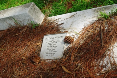Photograph - Digital Image, Grave of John H. Withell; Prudence A. Withell and John T.L. Withell at Greensborough Cemetery, 30/10/1929