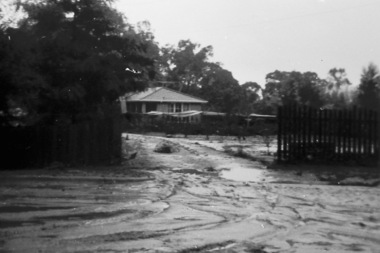 Photograph - Digital Image, Plenty River Flood 1972, 1972_