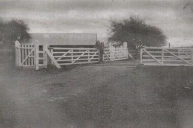 Photograph - Digital Image, Grimshaw Street rail crossing, 1930c
